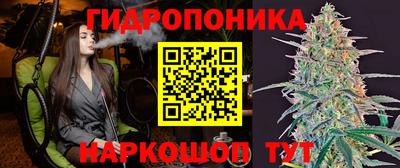 ECSTASY Бийск