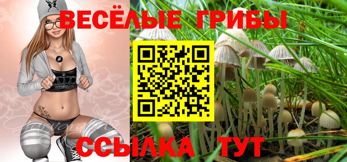 Зеленогорск  магазин продажи наркотиков  Вход с VPN  Галлюциногенные грибы мухоморы 
