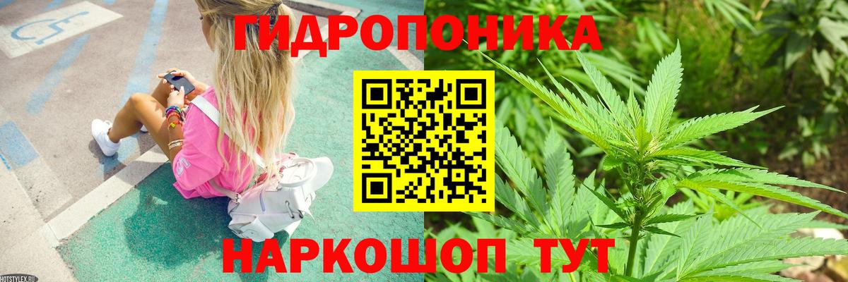 Зеленогорск  Конопля Bruce Banner  Марихуана конопля  Вход с VPN 
